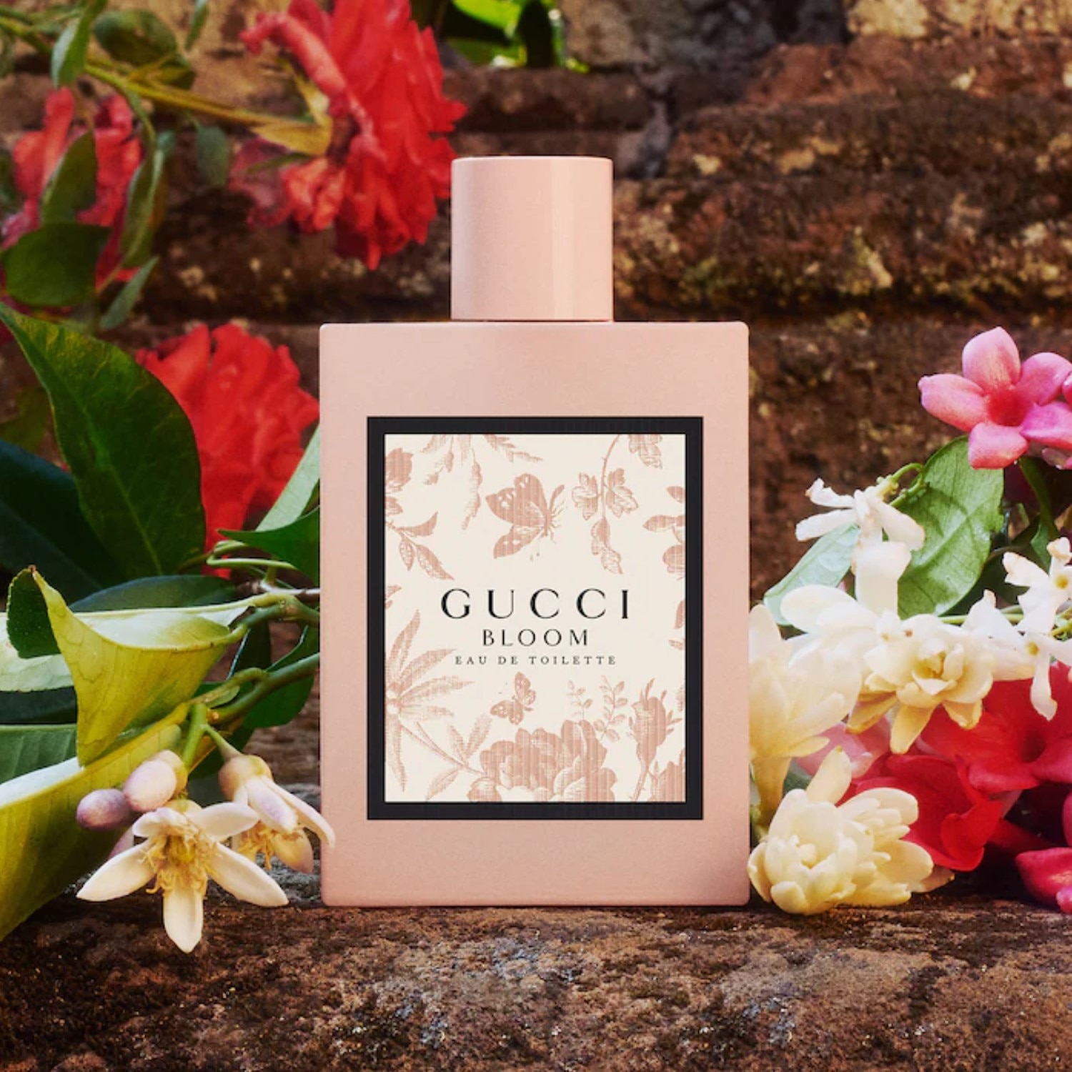 Gucci bloom eau de toilette 50 ml cheap